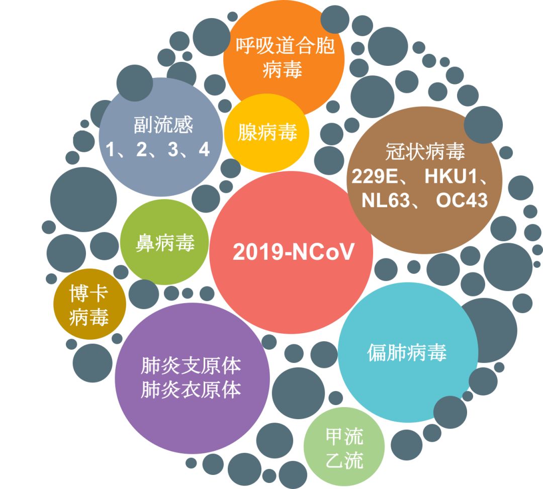 1609828197111413.jpg 640 (4).jpg