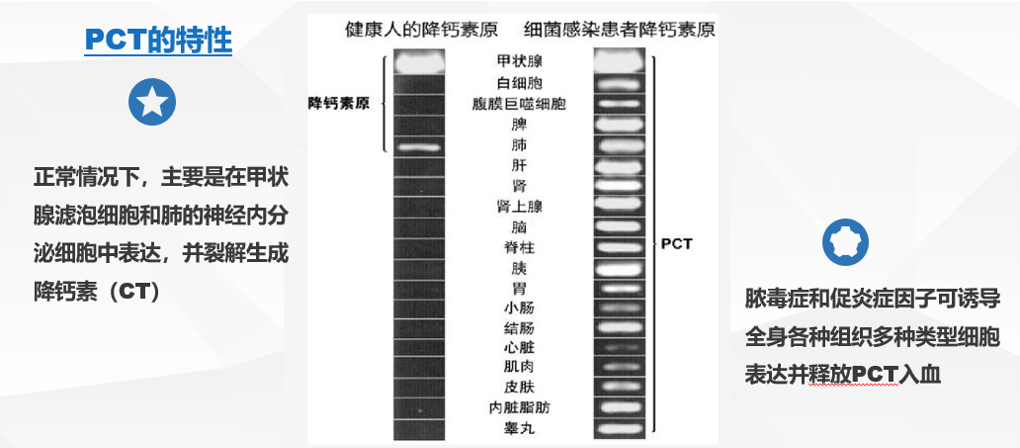 1628580167823800.png 640 (12).png