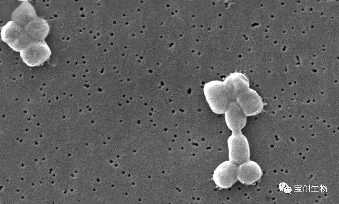 1638844192134577.jpg 640 (16)_看图王.web.jpg