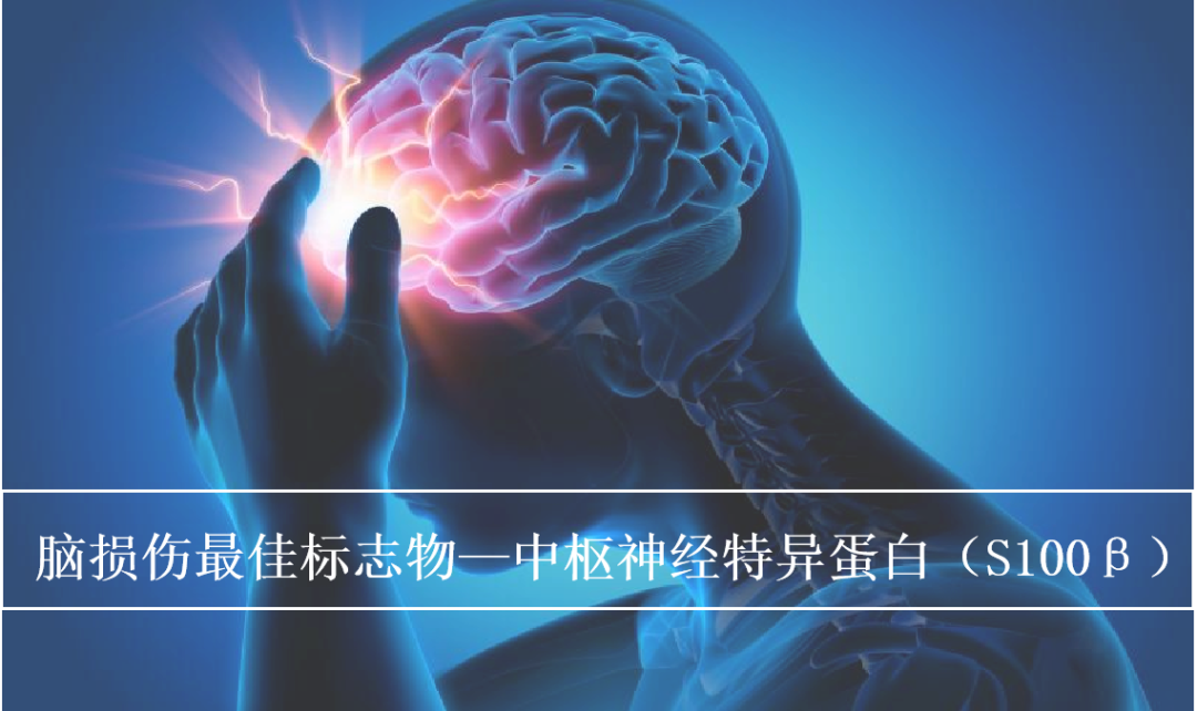 1654065759424508.png 640.png