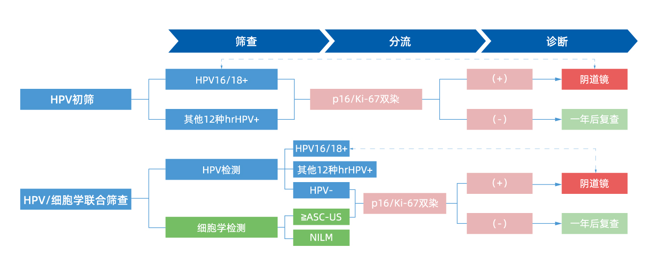 配套试剂_画板 1 副本 4.jpg